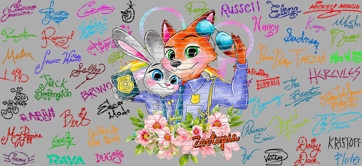 16oz Disney style-D-1302